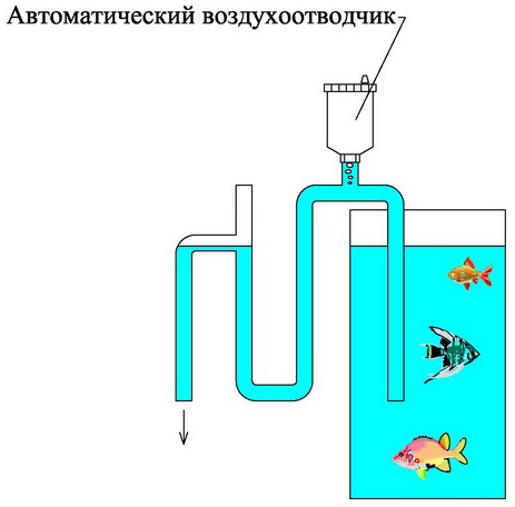 Как часто подменивать воду в аквариуме и сколько литров заменять